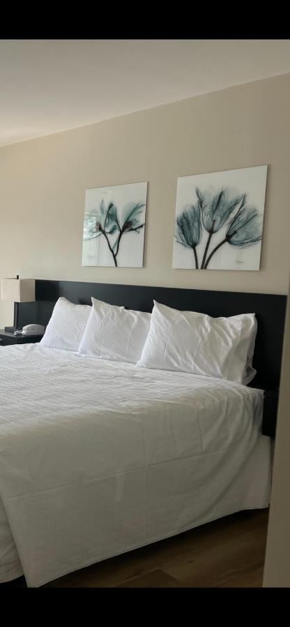 Richland Inn And Suites Bagian luar foto
